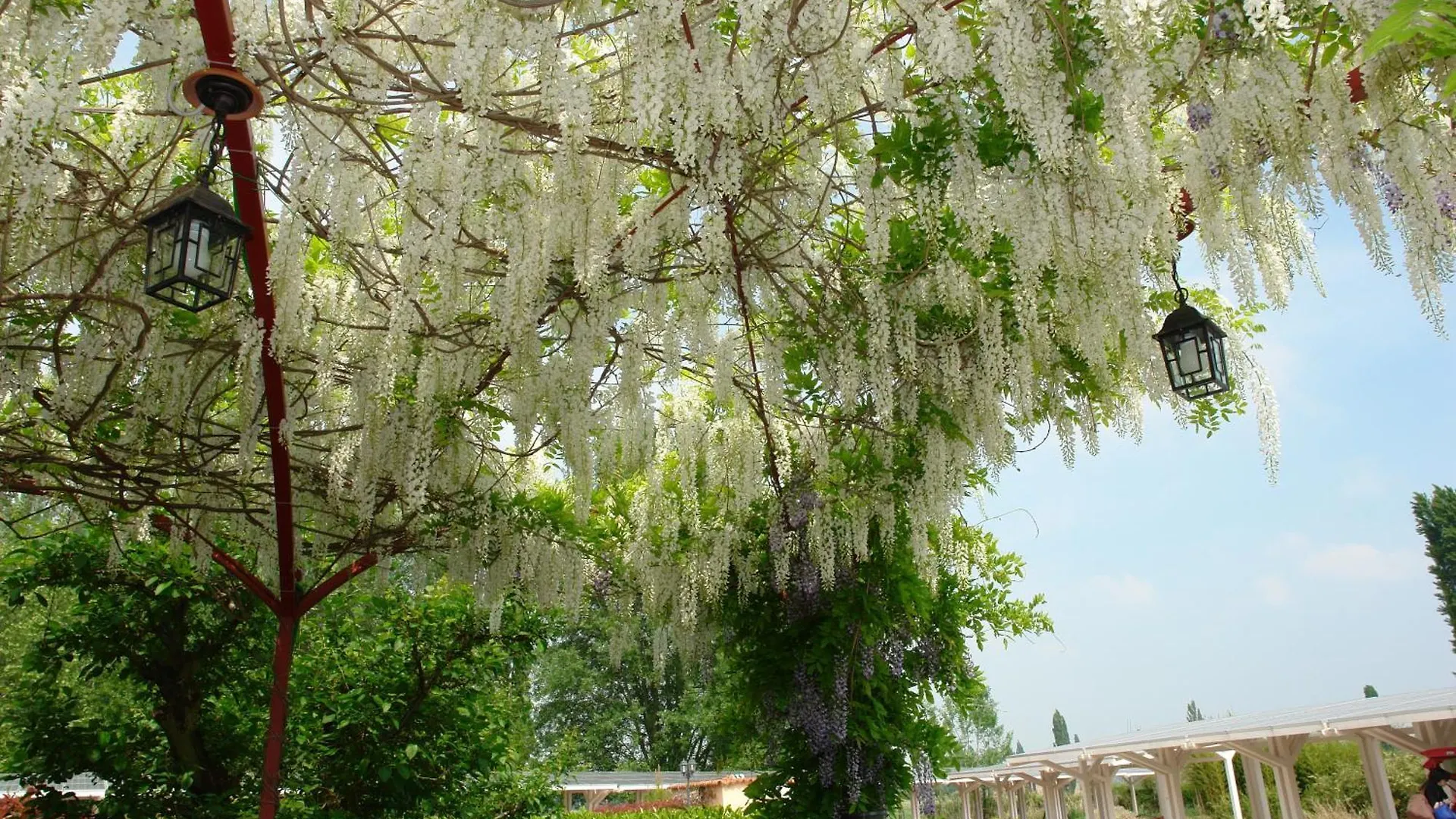 Agriturismo Lama Di Valle Rosa Ferrara 0*,  Italy
